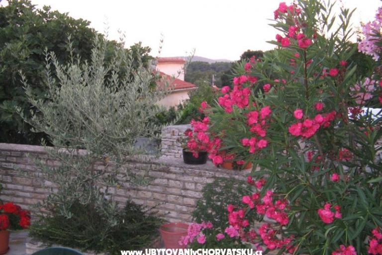 apartman Aurelia – photo 11