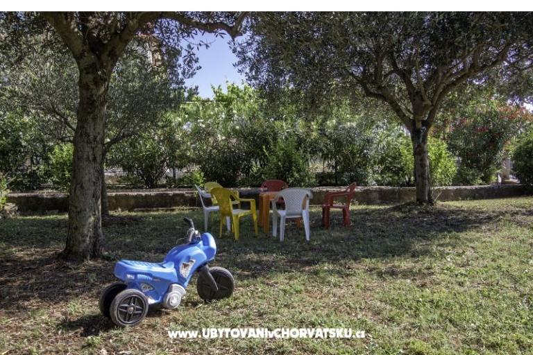  App. Oleandro***/App-studio Jasna* – photo 3