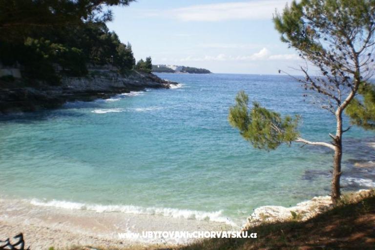 Apartment Kranjac – photo 17