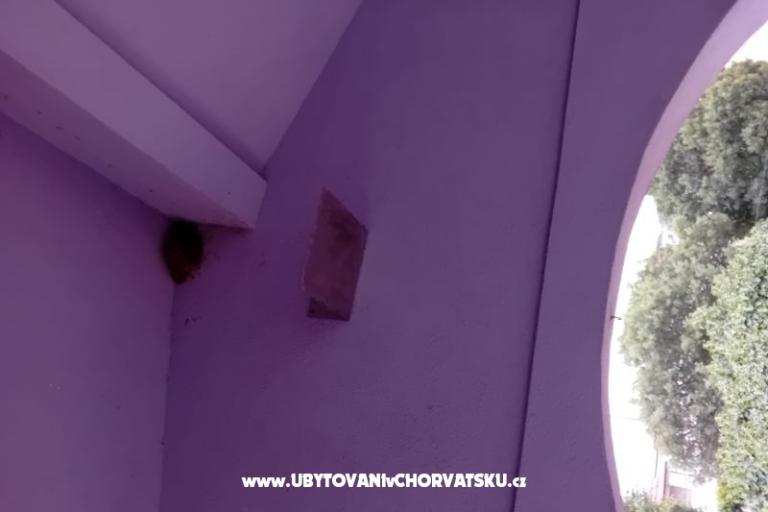 Apartment Križan – photo 18