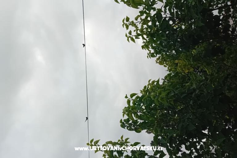 Apartment Križan – photo 19