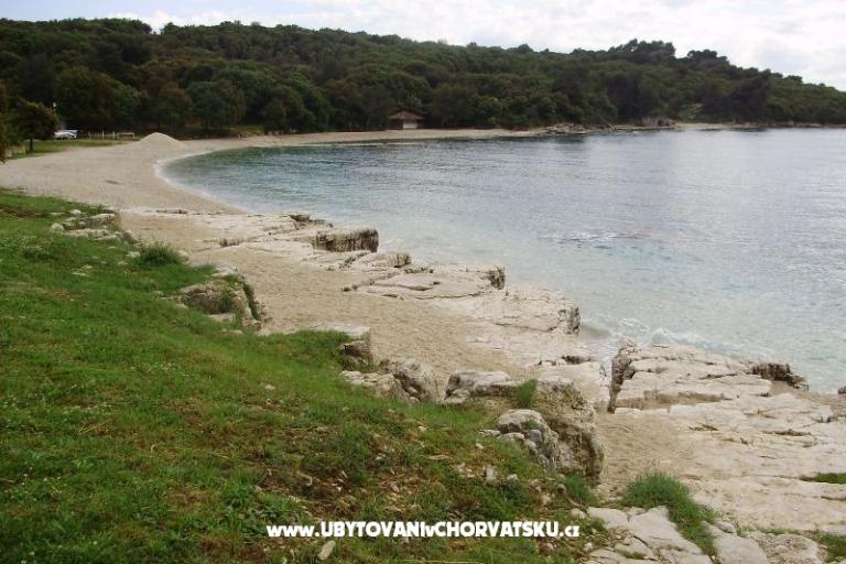 Apartment Pinzan – photo 16