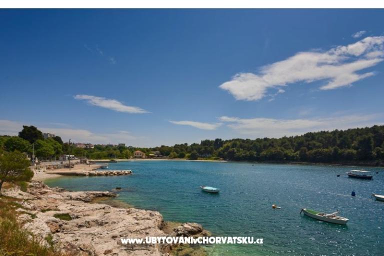 Apartment Sandra – photo 13