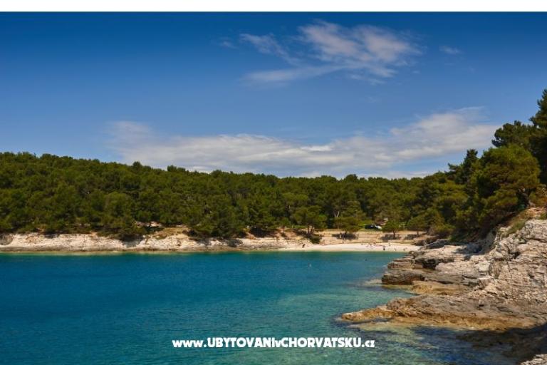 Apartment Sandra – photo 14