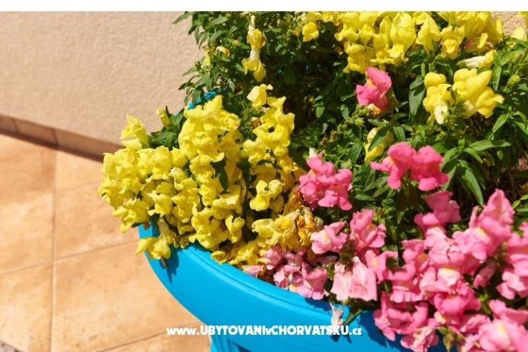 Apartment Sandra – photo 5