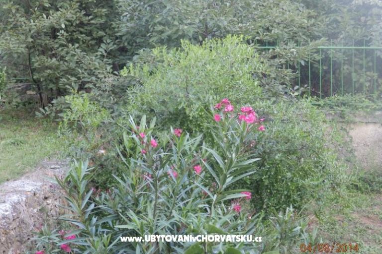 Apartment Valdebek – photo 15