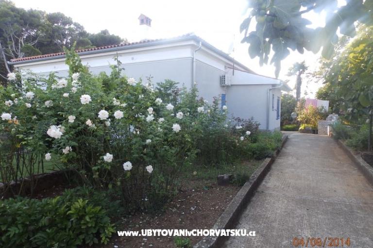 Apartment Valdebek – photo 16