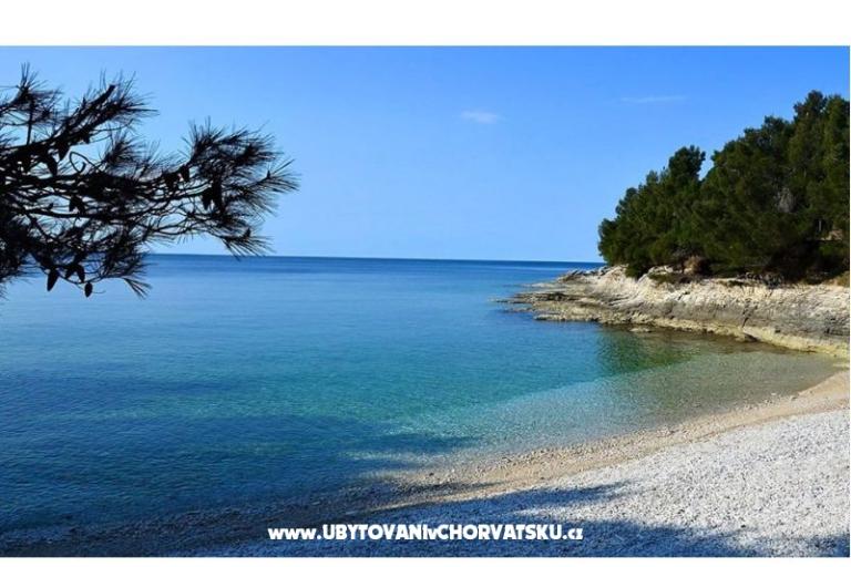 Apartment Viktorija – photo 10
