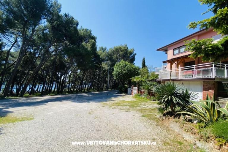 Apartment Viktorija – photo 7