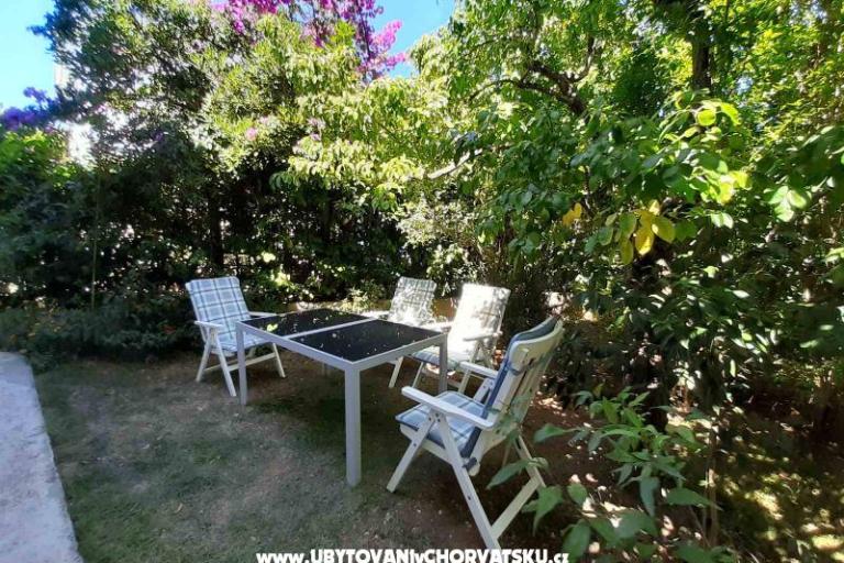 Apartment Zora Pula – photo 2