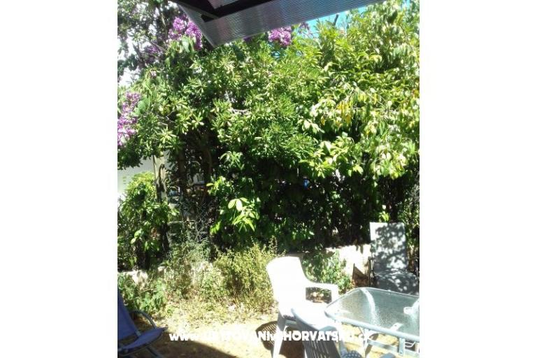 Apartment Zora Pula – photo 21