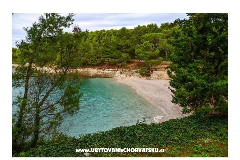 Apartment Zora Pula – photo 49