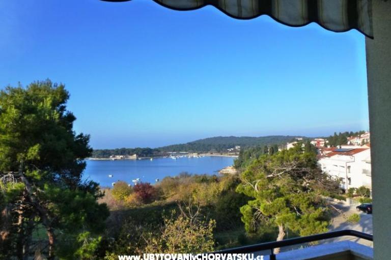 Apartments Grbin – photo 12