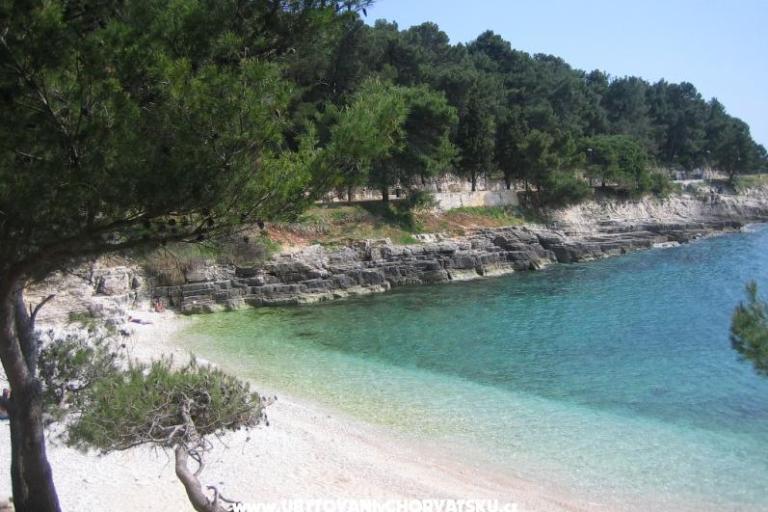 Apartments Grbin – photo 13