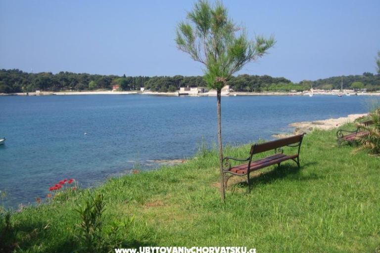 Apartments Grbin – photo 15