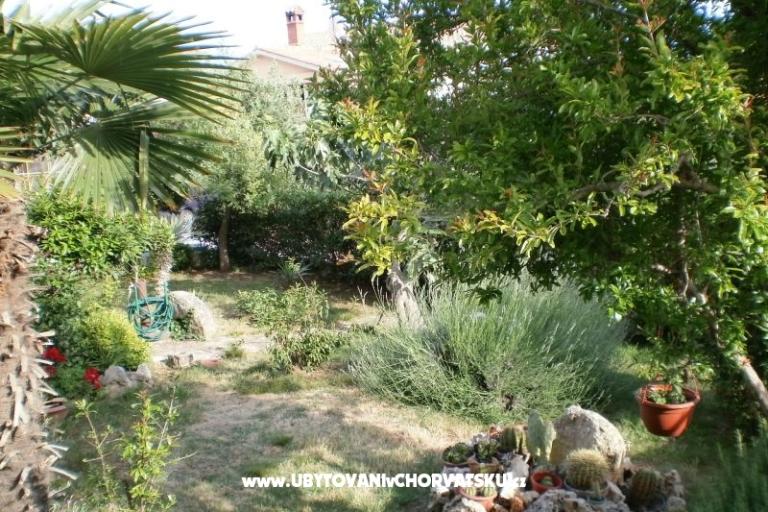 Apartments Marco – photo 7