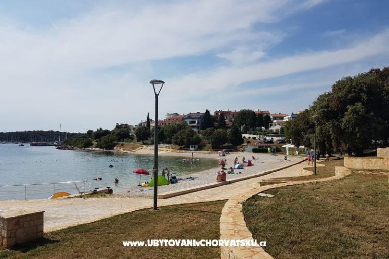 Apartments Perunika – photo 9