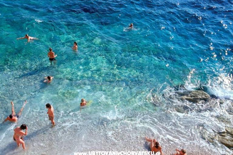 Apartments with pool Jadranka – photo 10