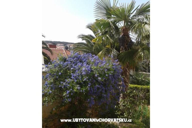 Apartments Ivana – photo 14