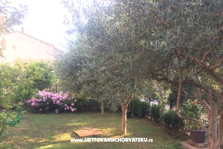Apartments Tea – photo 12