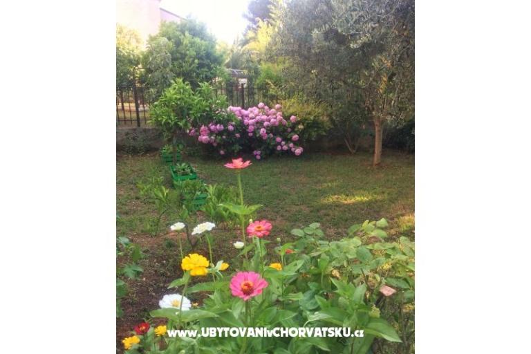 Apartments Tea – photo 13