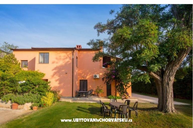 Apartments Viktor – photo 2