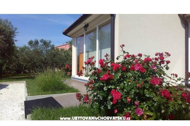 Vacation house Brcina – photo 7