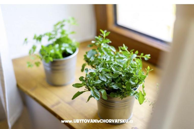 House Almar – photo 23