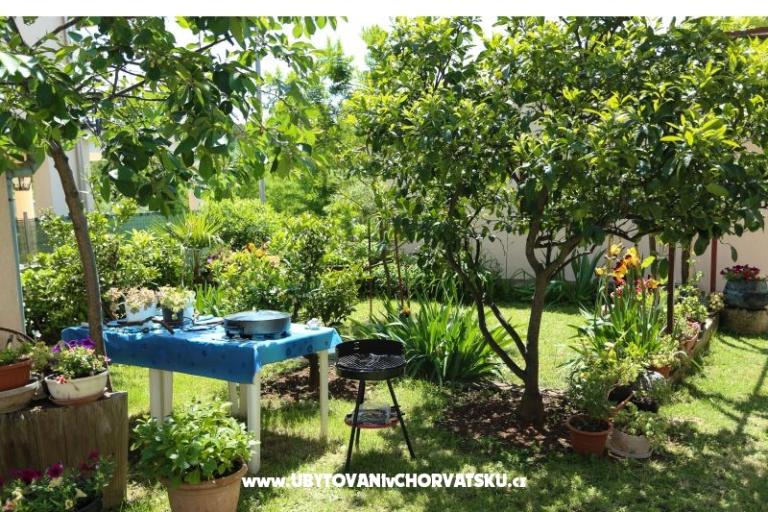 Štinjan apartmani Elda – photo 14