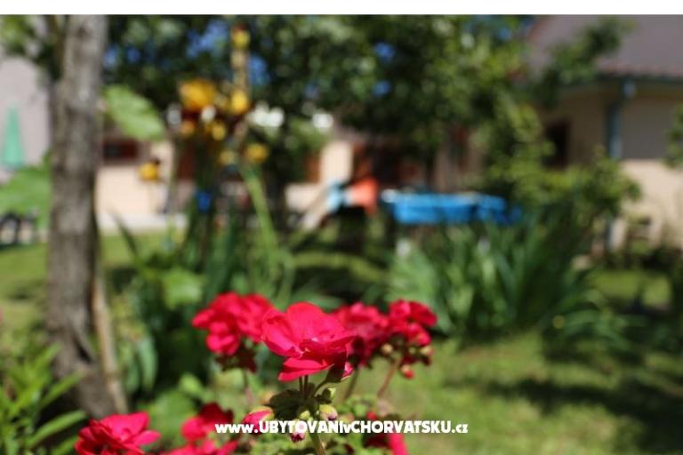 Štinjan apartmani Elda – photo 15