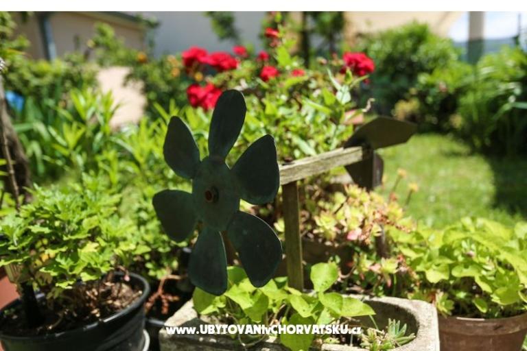 Štinjan apartmani Elda – photo 16