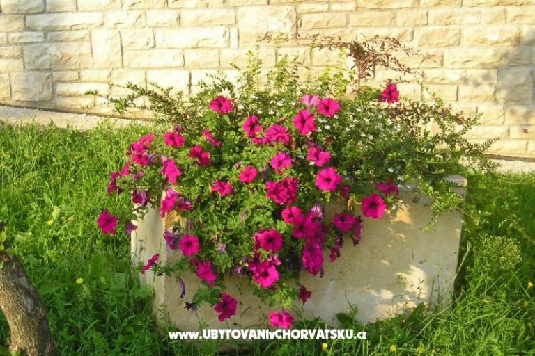 Villa Lorena – photo 15