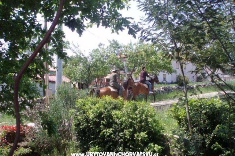 Villa Lorena – photo 16