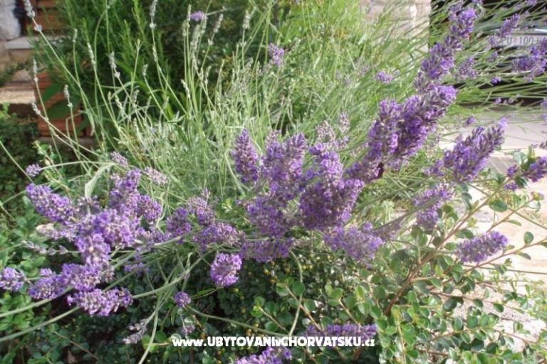 Villa Lorena – photo 17