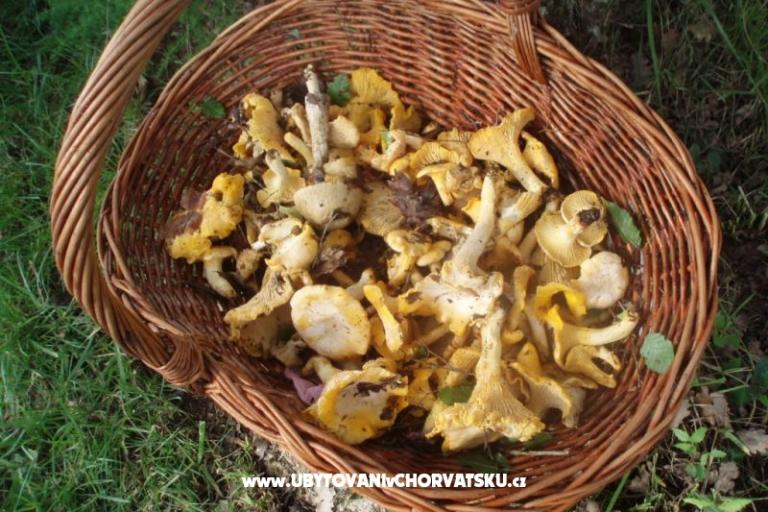 Villa Lorena – photo 18