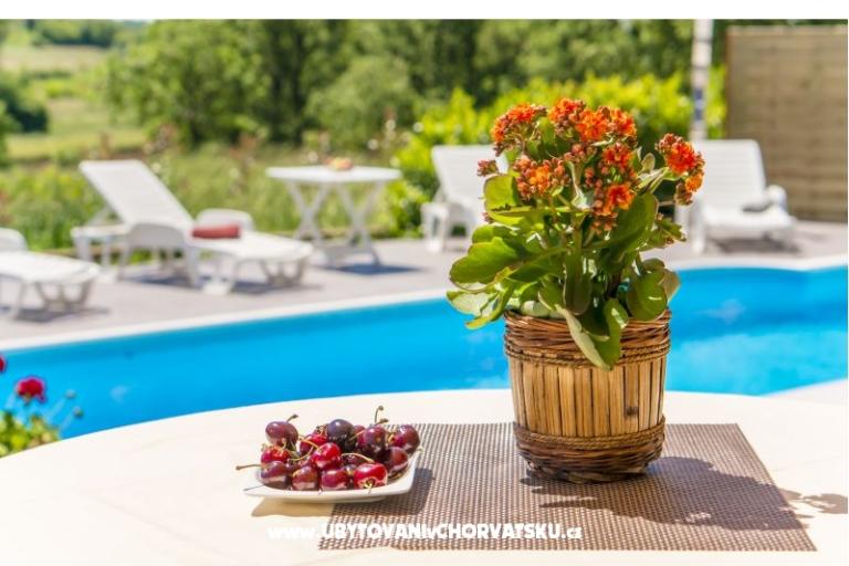 Villa Lorena – photo 9