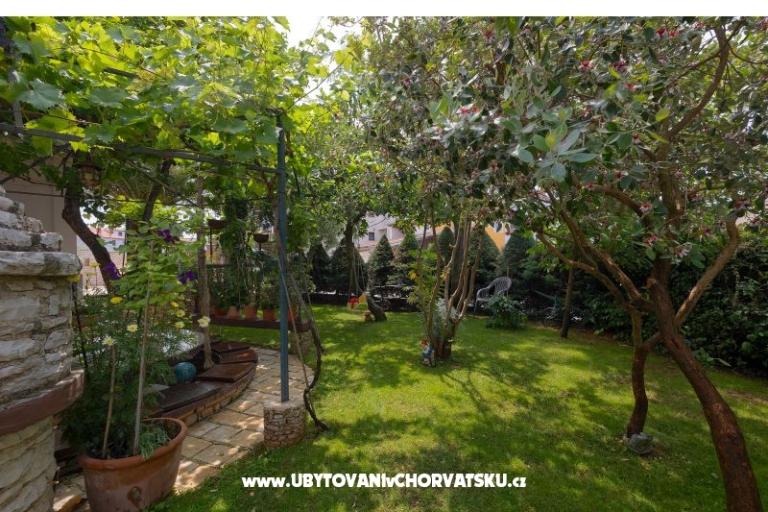 Villa Kascuni – photo 8