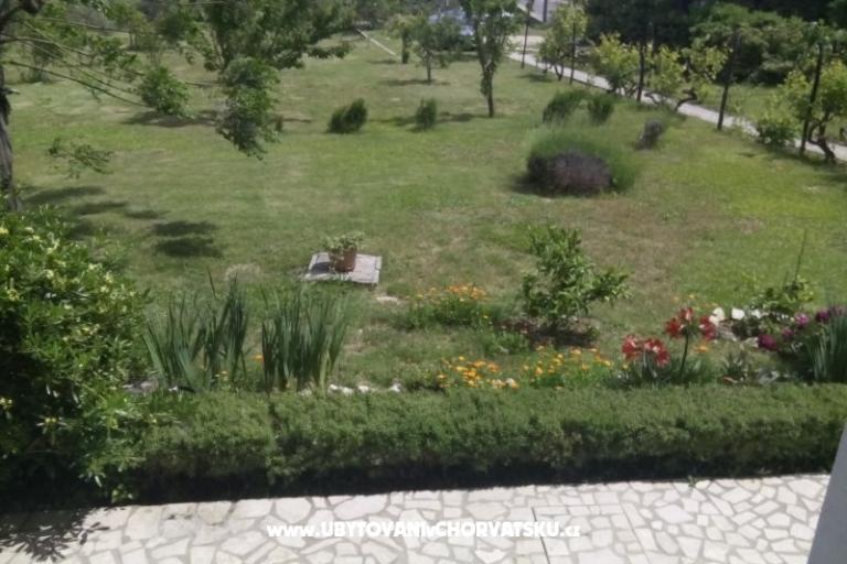 Apartments Ankica – photo 13