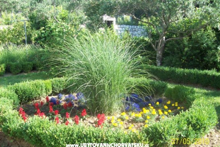 Apartment House Vesna – photo 17