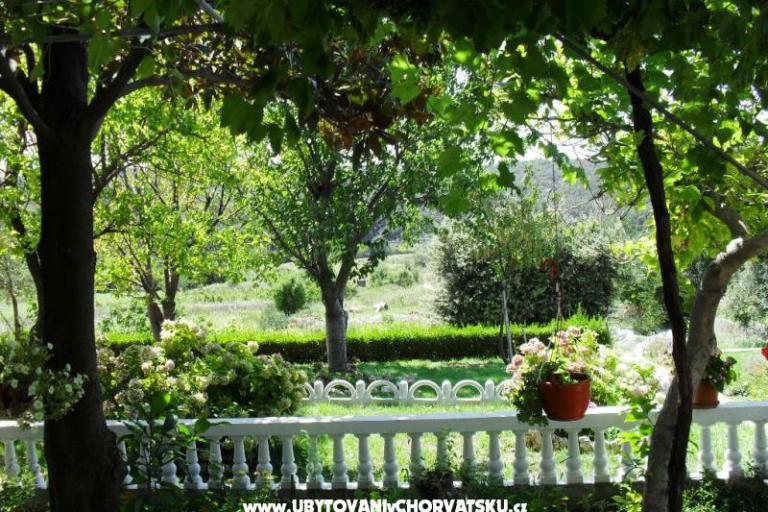 Apartments Campor – photo 11