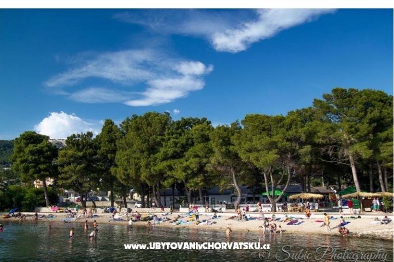 Apartments Batifogo – photo 8