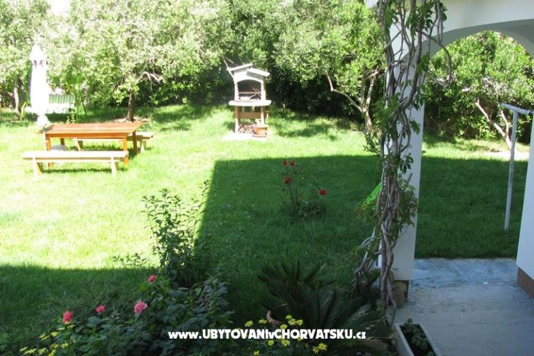 Apartments Danica – photo 4