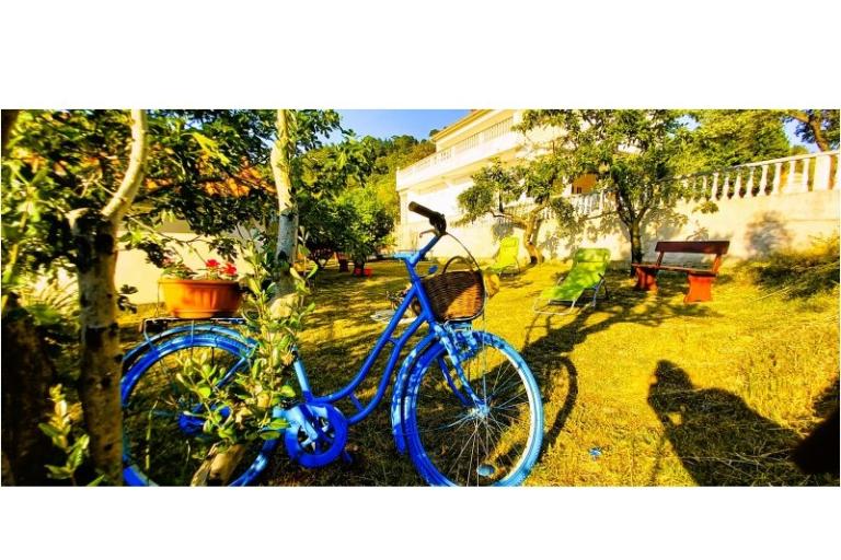 Apartments Danijela – photo 12