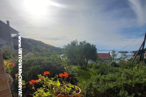 Apartments Danijela – photo 13