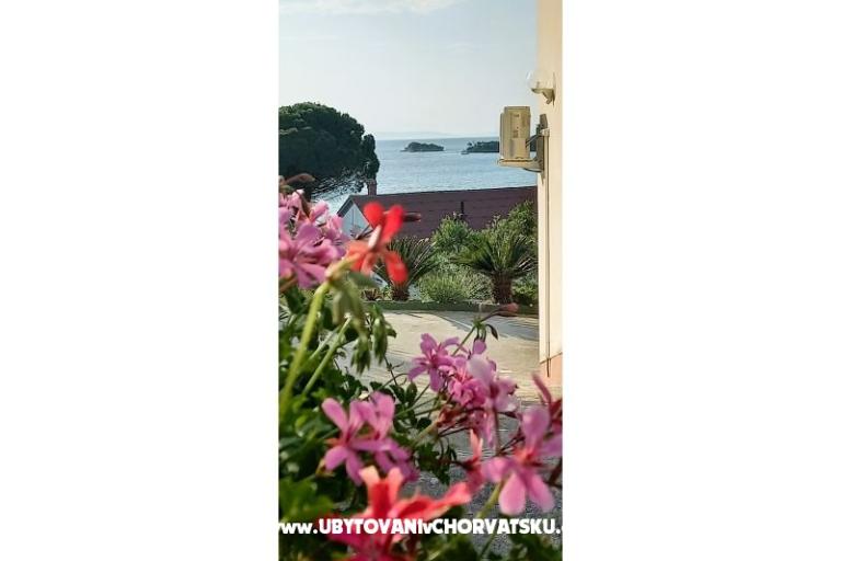 Apartments Danijela – photo 27