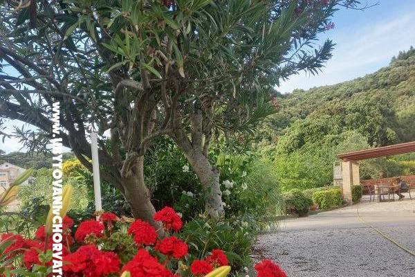 Apartments Danijela – photo 4