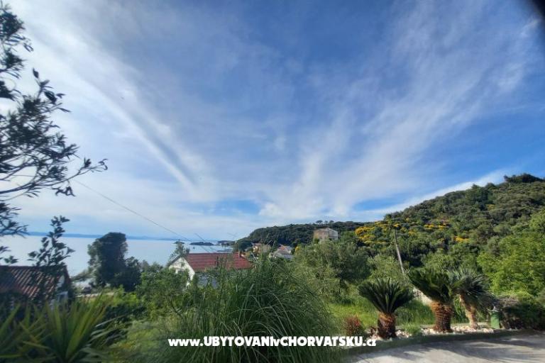 Apartments Danijela – photo 7