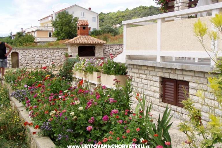 Apartments Duje – photo 2