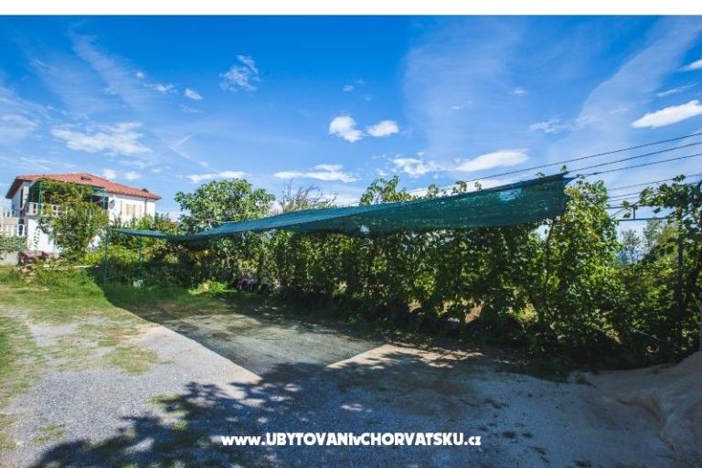 Apartments JUG-Lopar – photo 6