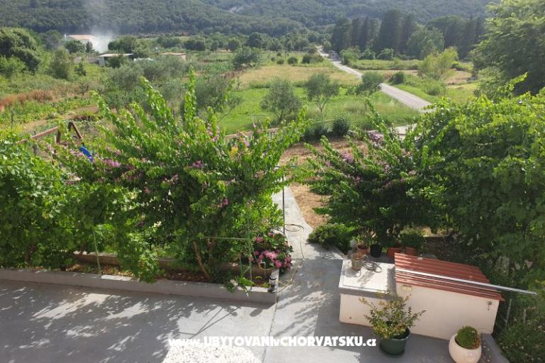 Apartments Lupić – photo 15